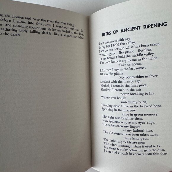 Corn Village 1970 Meridel Le Sueur SIGNED Stanton & Lee 1st Edition HC - Picture 6 of 14